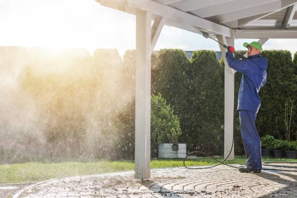 Best Spring Cleaning  in Stepping Stone, CO