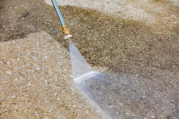 Best Roof Washing  in Stepping Stone, CO